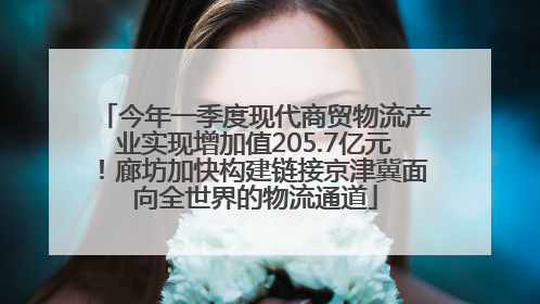 今年一季度现代商贸物流产业实现增加值205.7亿元！廊坊加快构建链接京津冀面向全世界的物流通道
